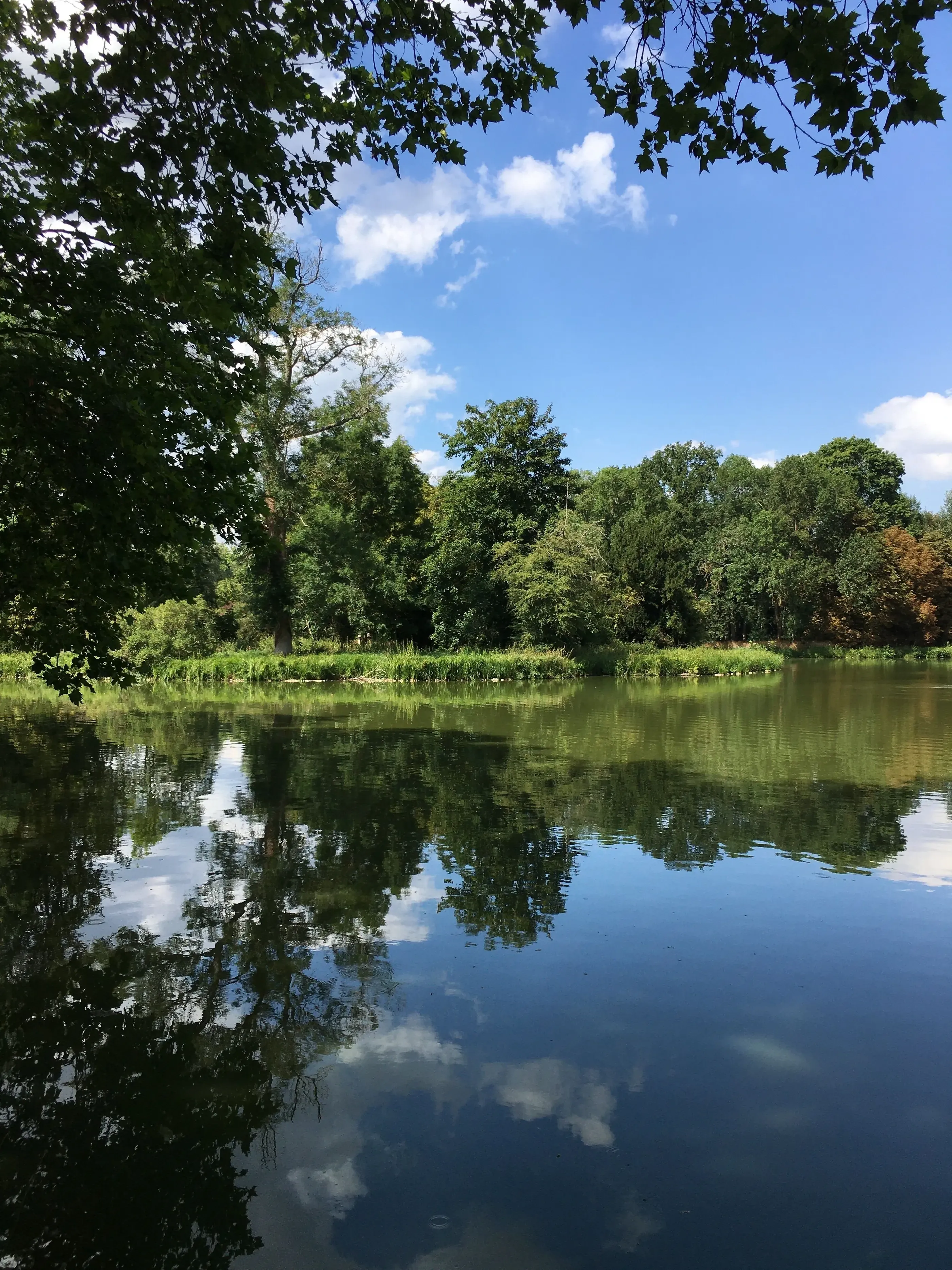 Un lac entouré d'arbres reflète le ciel bleu et les nuages