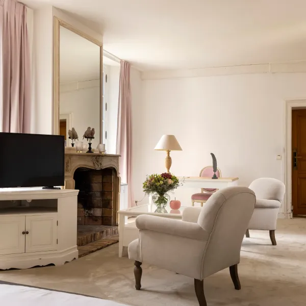 Salon avec télévision, cheminée, fauteuils, table basse et fenêtre aux rideaux roses